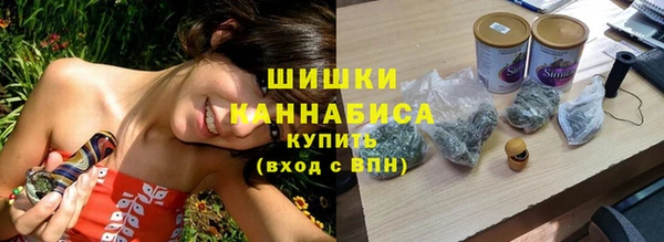 PSILOCYBIN Новодвинск