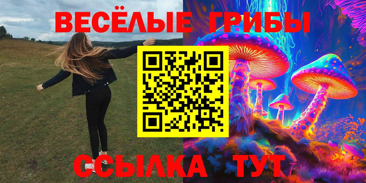Псилоцибиновые грибы Cubensis Сафоново