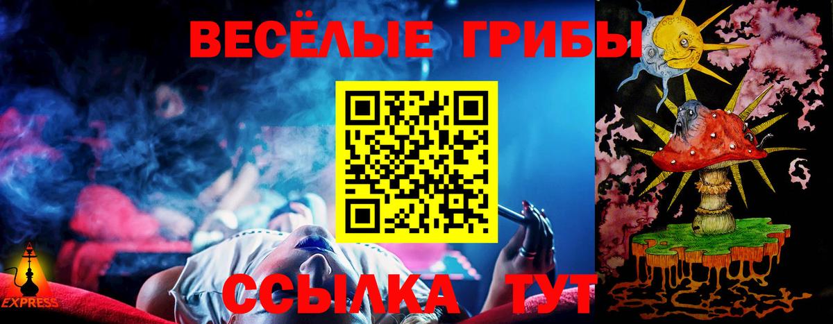 Псилоцибиновые грибы Cubensis  Вход с VPN  Сафоново 